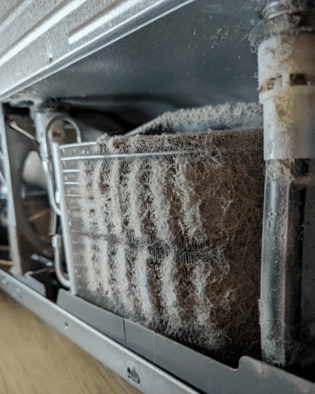 Vacuuming dust from refrigerator condenser coils to improve efficiency